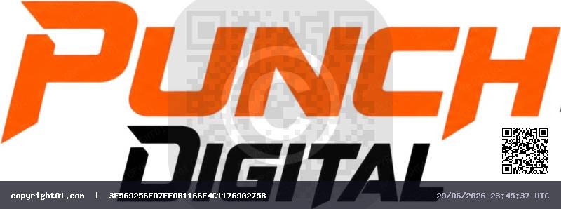 logo_punchdigital_dark.png