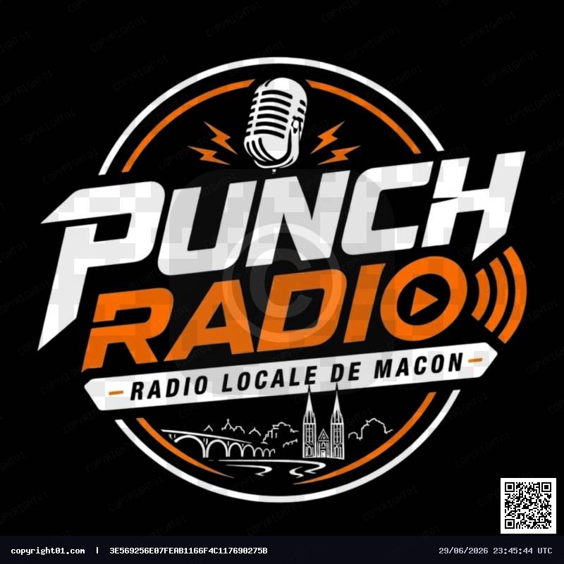 logo_player_punchradio.jpg