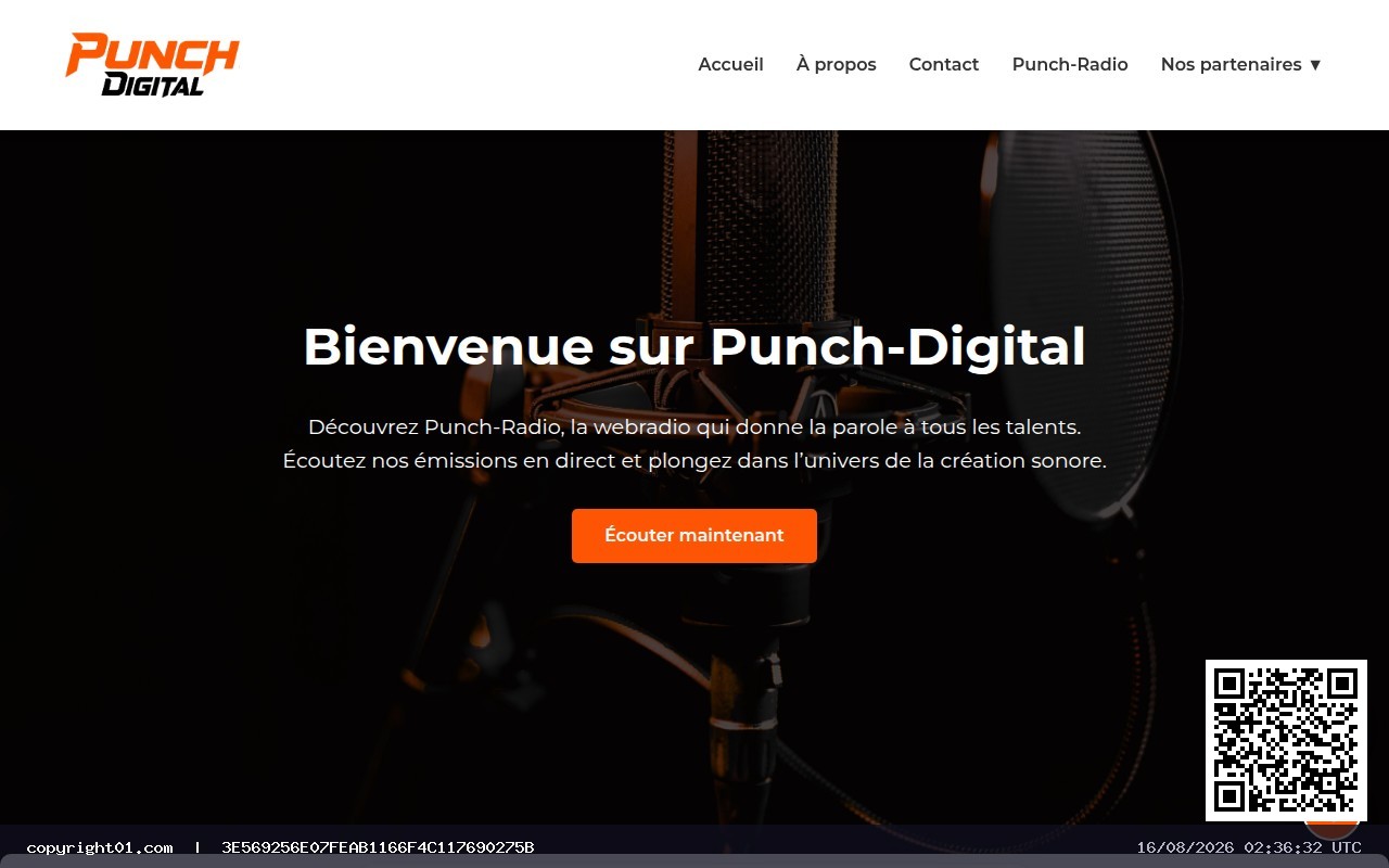 Capture de https://www.punch-digital.fr/