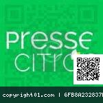 file.php