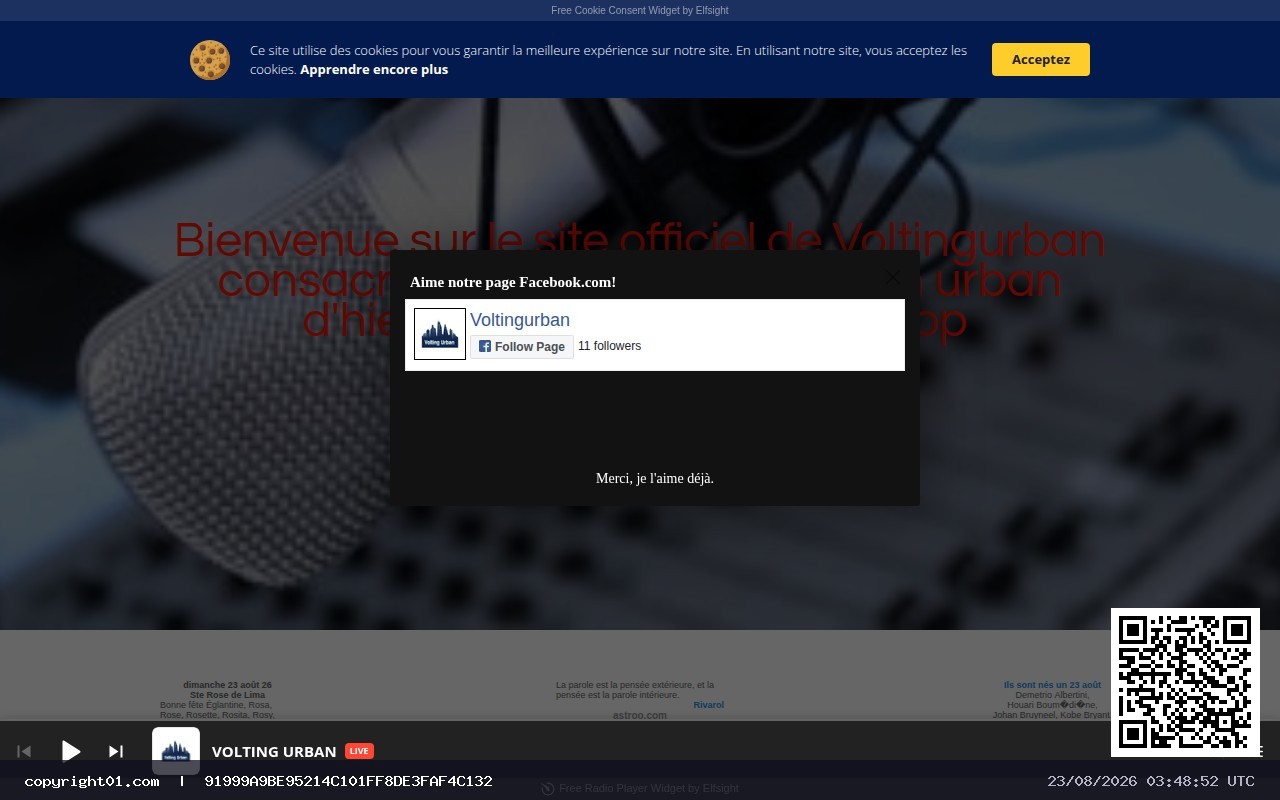 Capture de https://VOLTINGURBAN.weebly.com