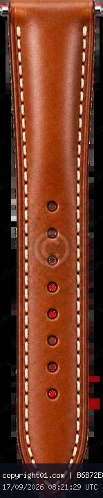 v2-cognac-lower.webp