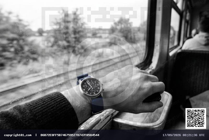 life-window.webp