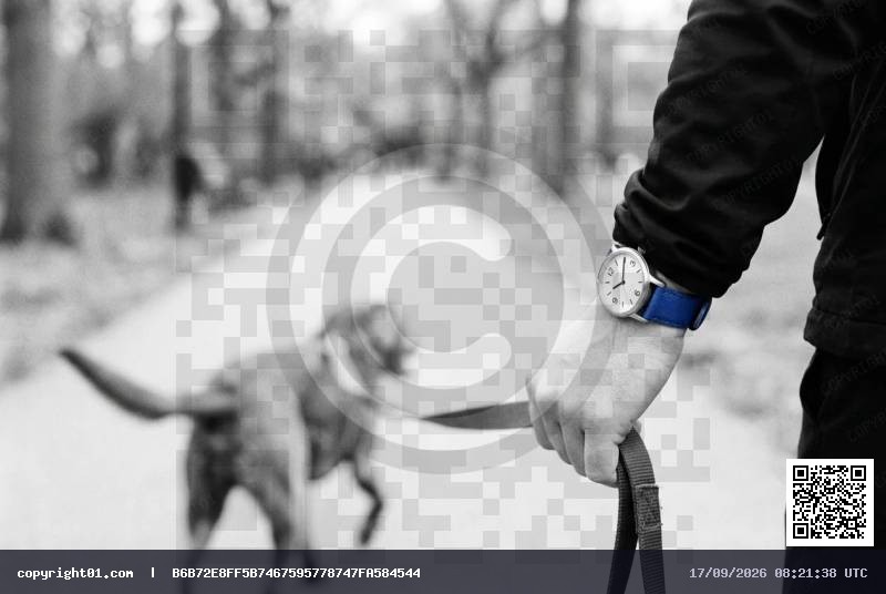 life-dog.webp