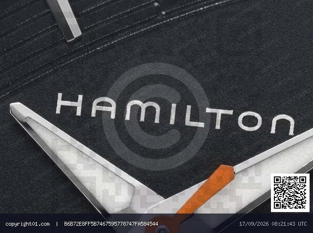 hamilton-1788345252-640.webp
