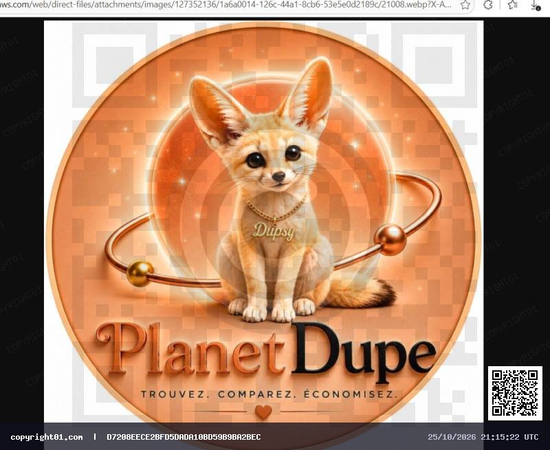 logo de ma platforme planetdupe