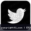 td-twitter.png