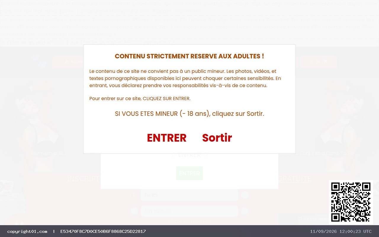 Capture de https://chat-cougar.fr