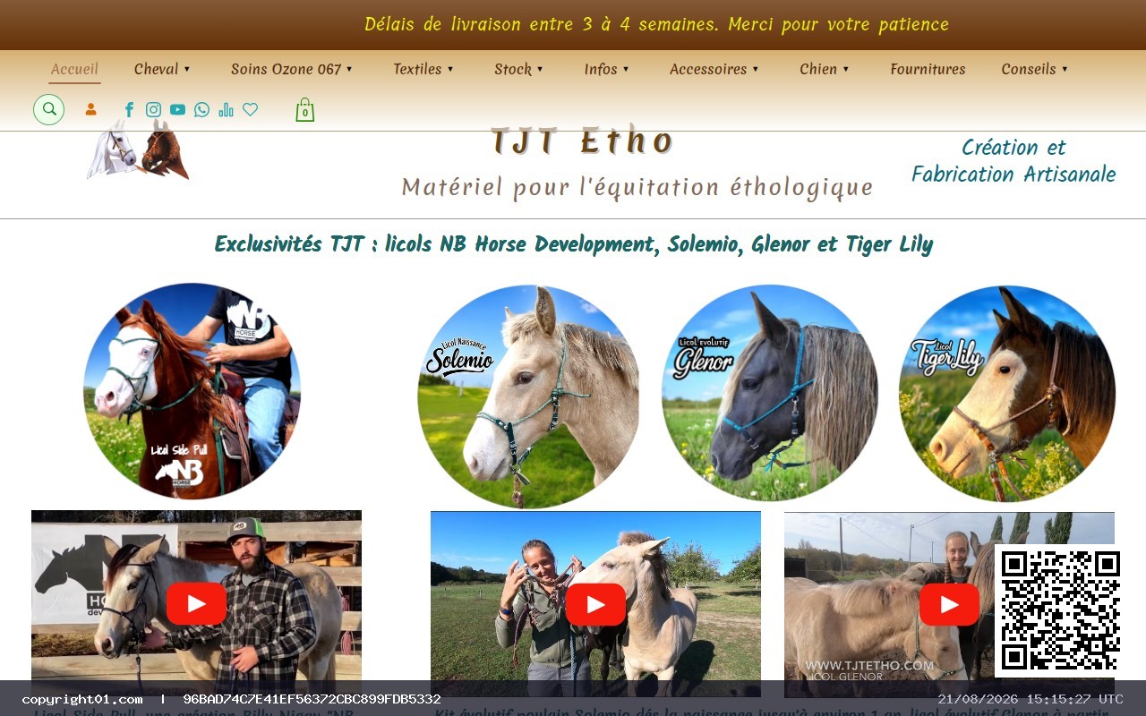 Captura de http://www.tjtetho.com