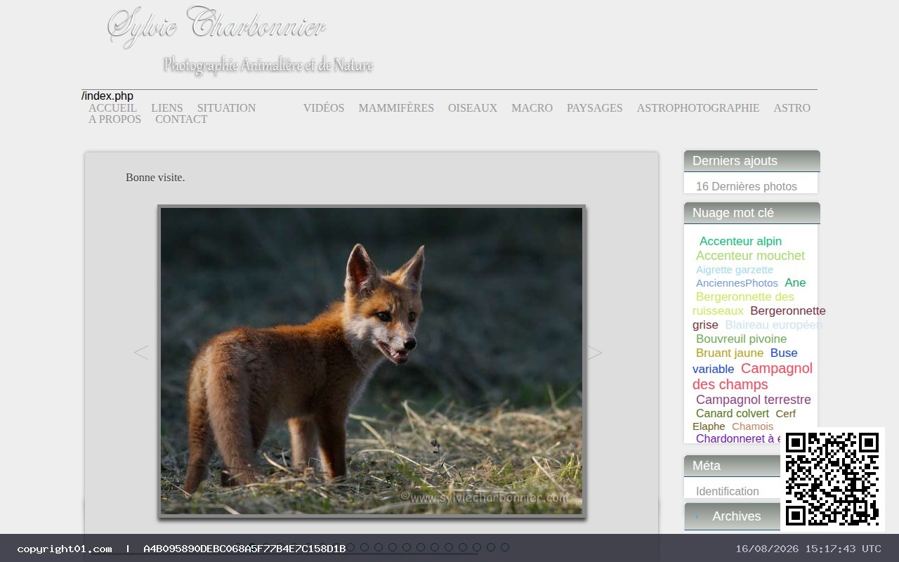 Captura de http://sylviecharbonnier.com