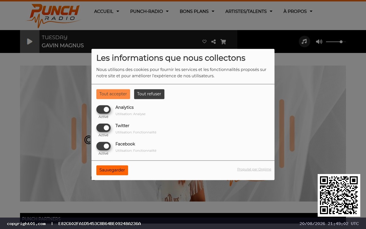 Captura de https://www.punch-radio.fr/