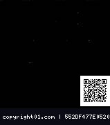 loup_015.gif