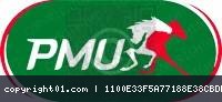 PMU.webp