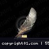 cca6afb6fff37a6f64e7283c2df8cd3a-removebg-preview.png