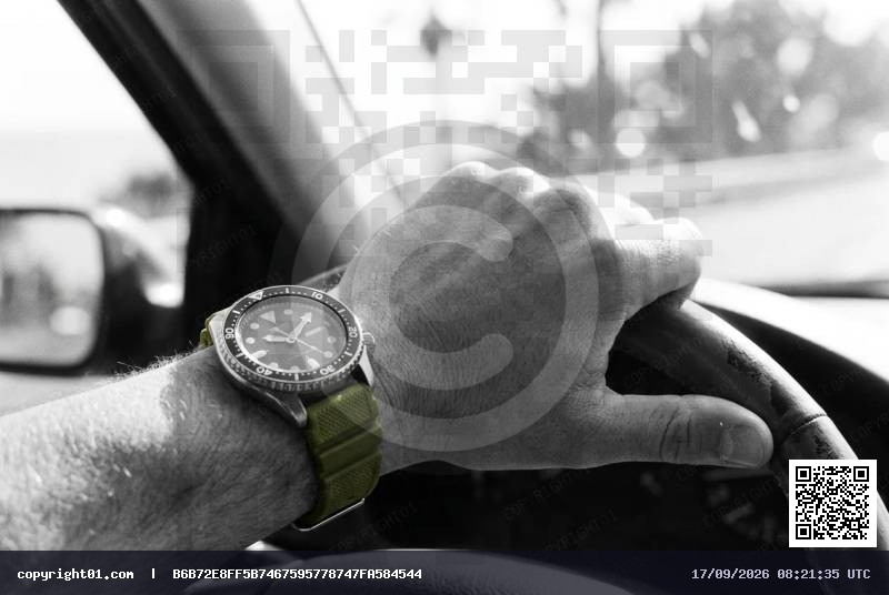 life-drive.webp