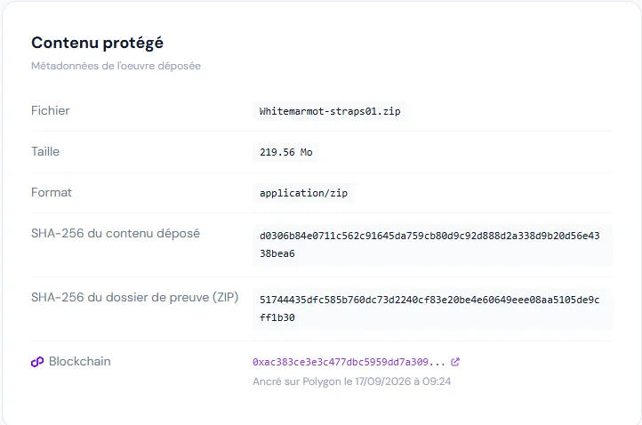 Certificat Copyright01 du code Straps01 : empreintes SHA-256 et ancrage sur la blockchain Polygon