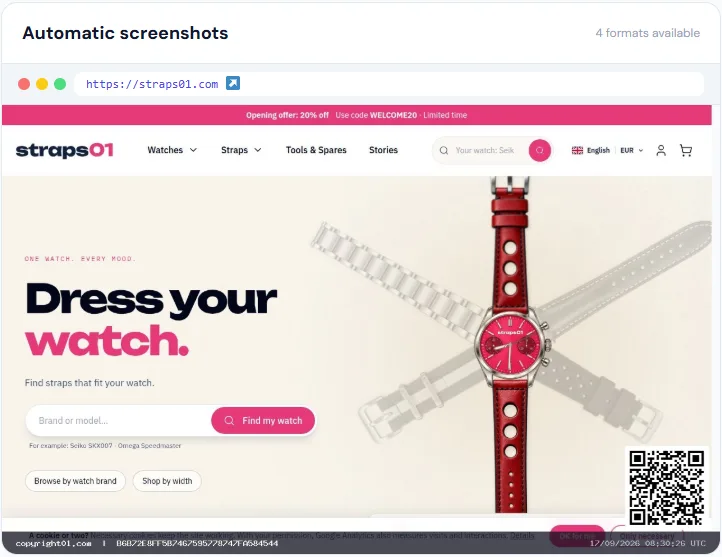 Certified screenshots of the Straps01 homepage on the Copyright01 certificate