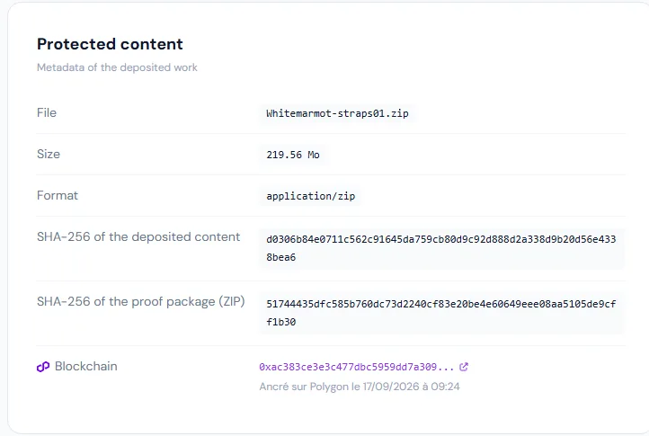 Copyright01 certificate for the Straps01 code: SHA-256 fingerprints and Polygon blockchain anchoring